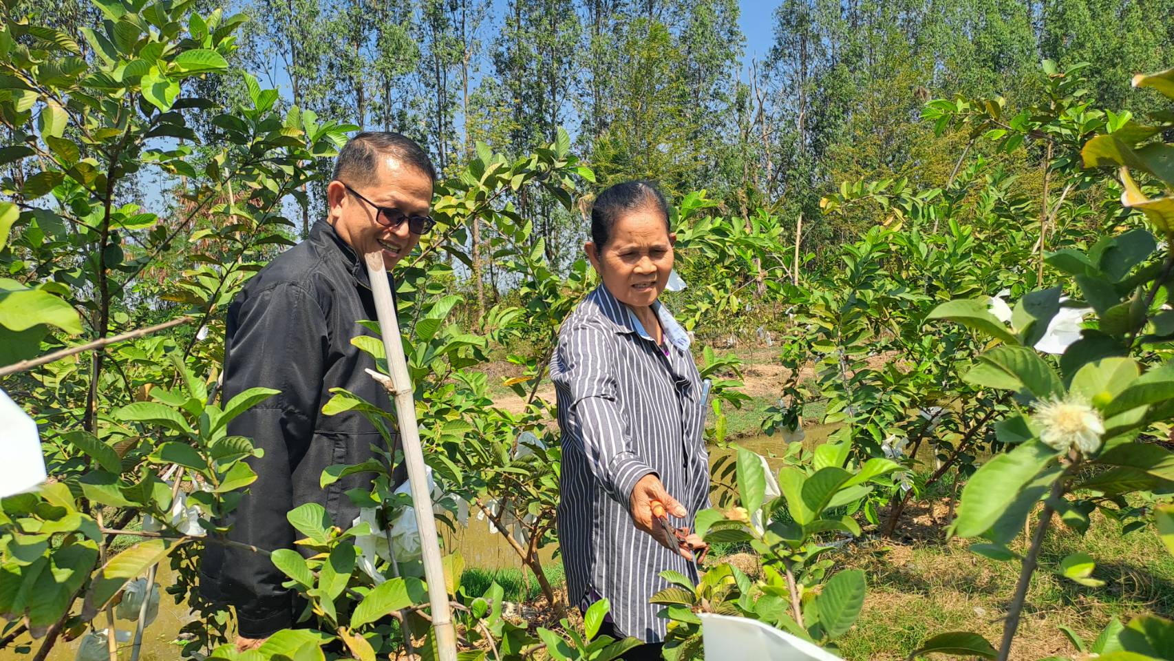 title - ผู้ตรวจราชการ ส.ป.ก. ประชุมตรวจติดตามความก้าวหน้าผลการดำเนินงานตามแผนการตรวจราชการ ประจำปีงบประมาณ พ.ศ. 2569 รอบที่ 1 เขตตรวจราชการที่ 2 จังหวัดนครปฐม และลงพื้นที่ตรวจเยี่ยมเกษตรกรในเขตปฏิรูปที่ดินจังหวัดนครปฐม